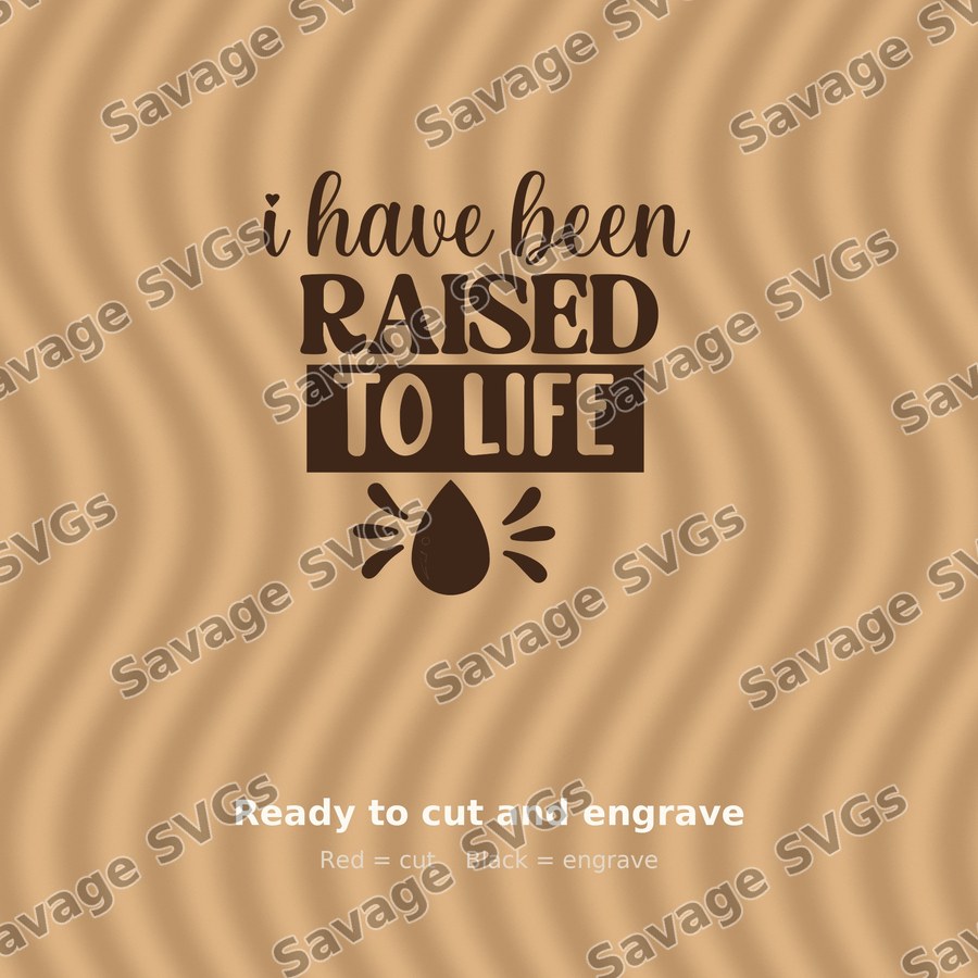 I Have Been Raised To Life