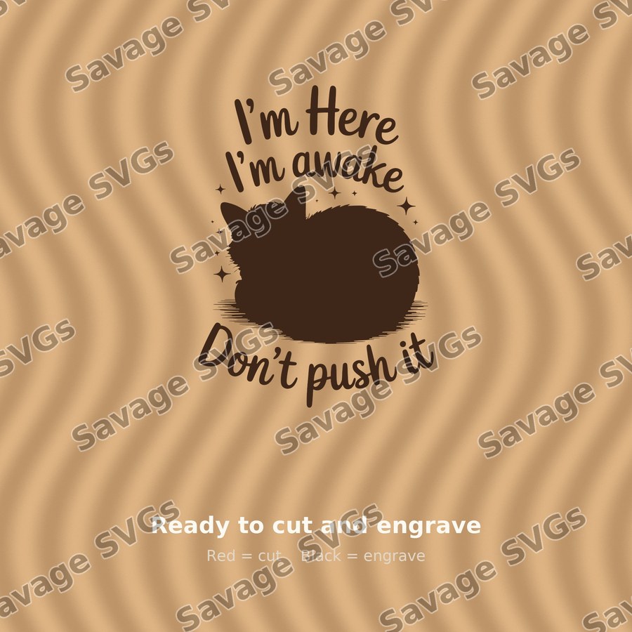 I'm Here I'm Awake Don't Push It