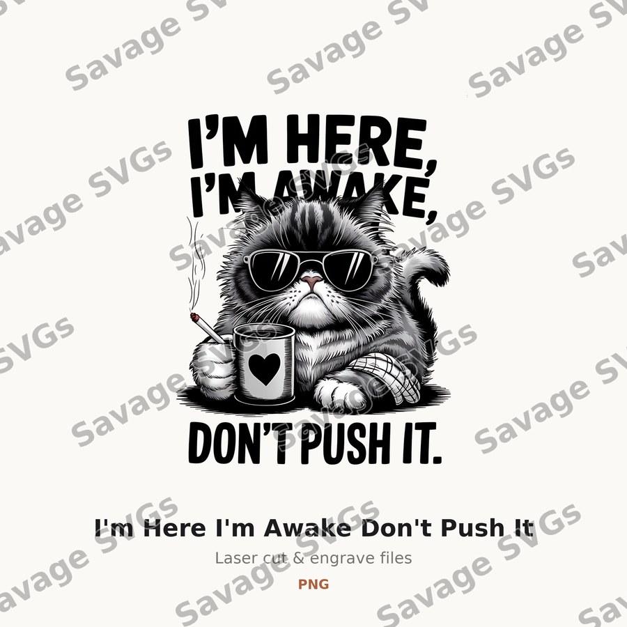 I'm Here I'm Awake Don't Push It