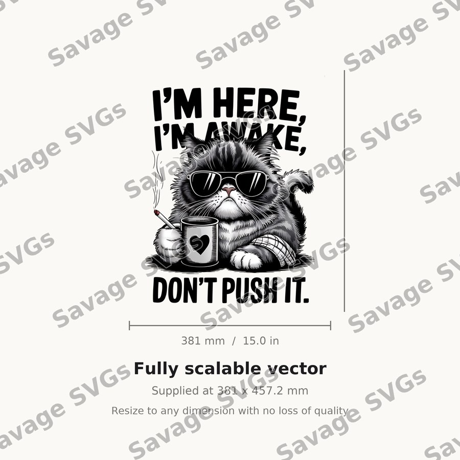 I'm Here I'm Awake Don't Push It