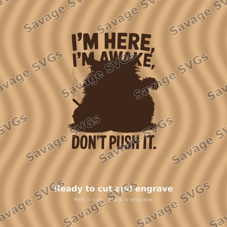 I'm Here I'm Awake Don't Push It
