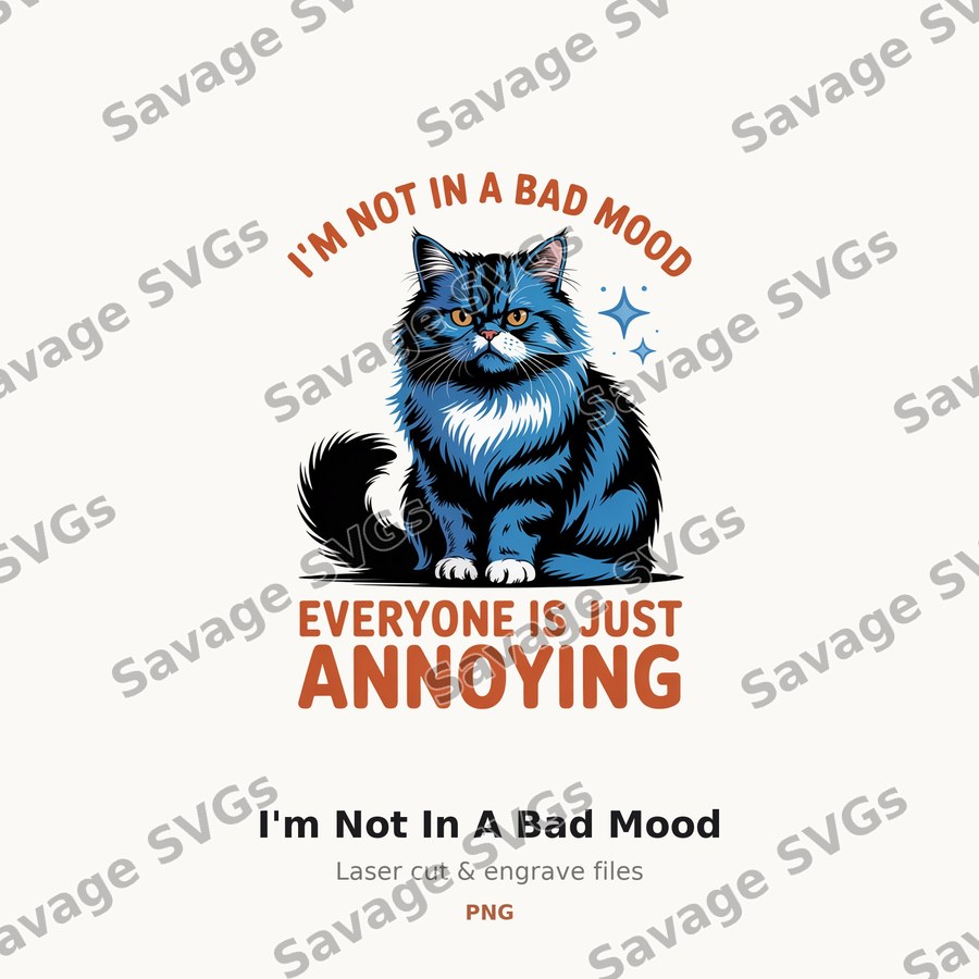 I'm Not In A Bad Mood