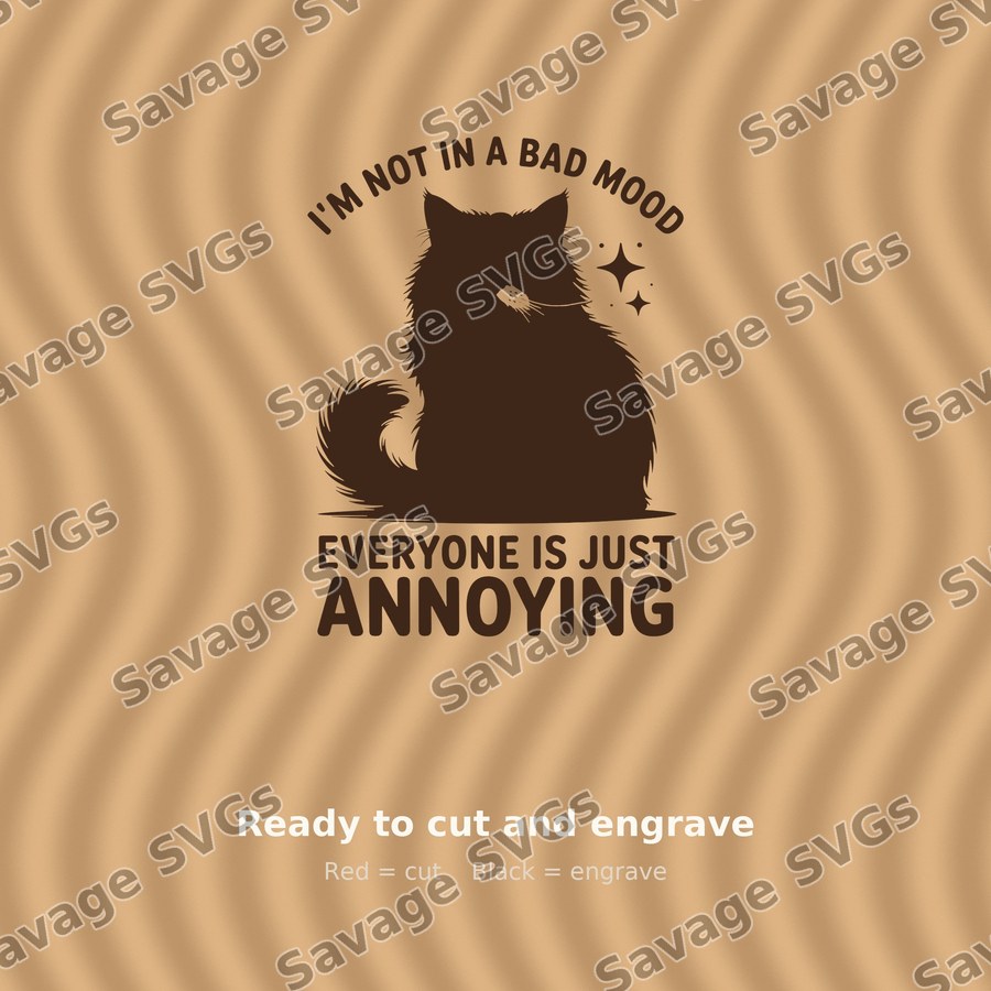 I'm Not In A Bad Mood