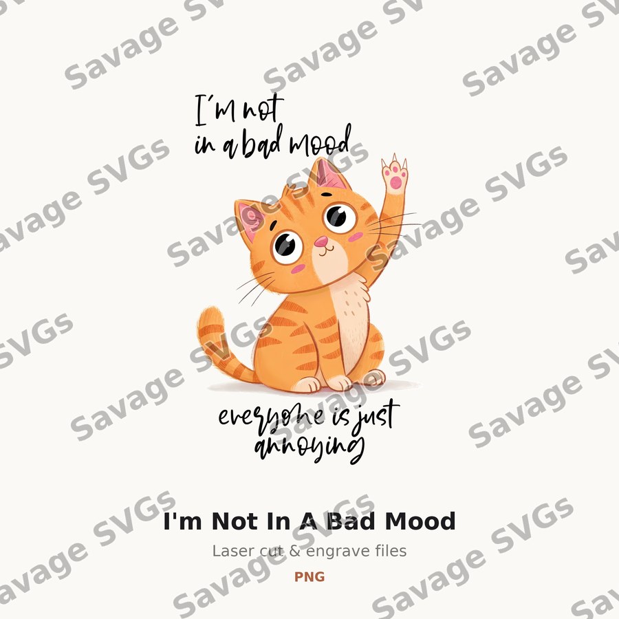 I'm Not In A Bad Mood