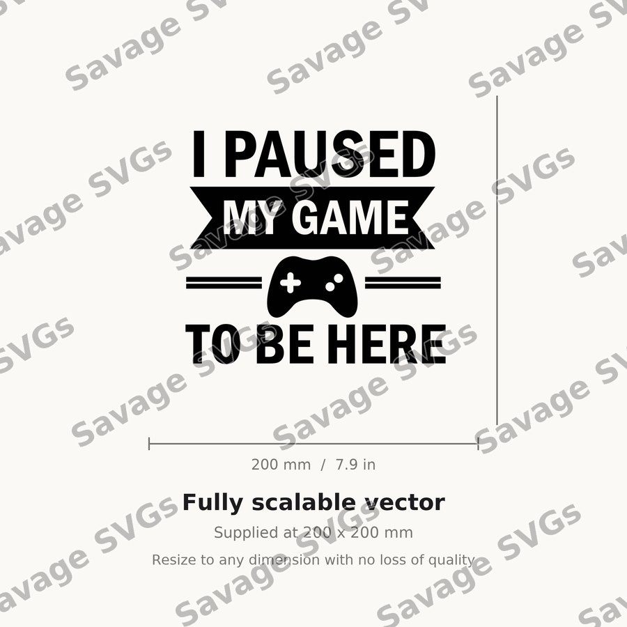 I Paused My Game To Be Here