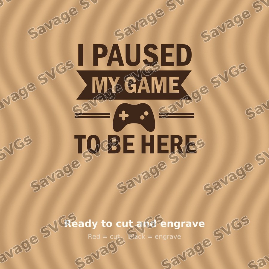 I Paused My Game To Be Here