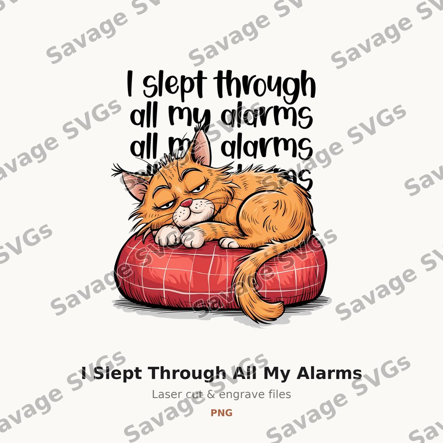 I Slept Through All My Alarms