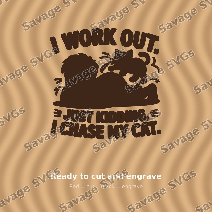 I Work Out Just Kidding I Chase My Cat
