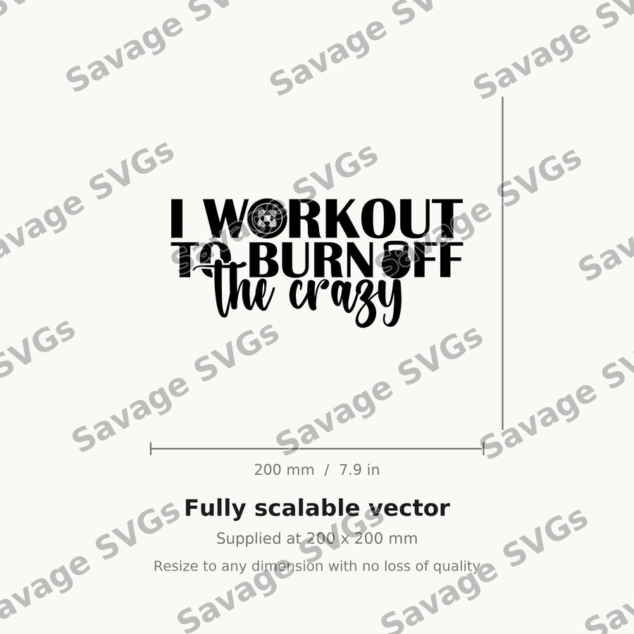 I Workout To Burn Off The Crazy 01