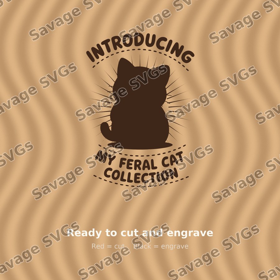 Introducing My Feral Cat Collection