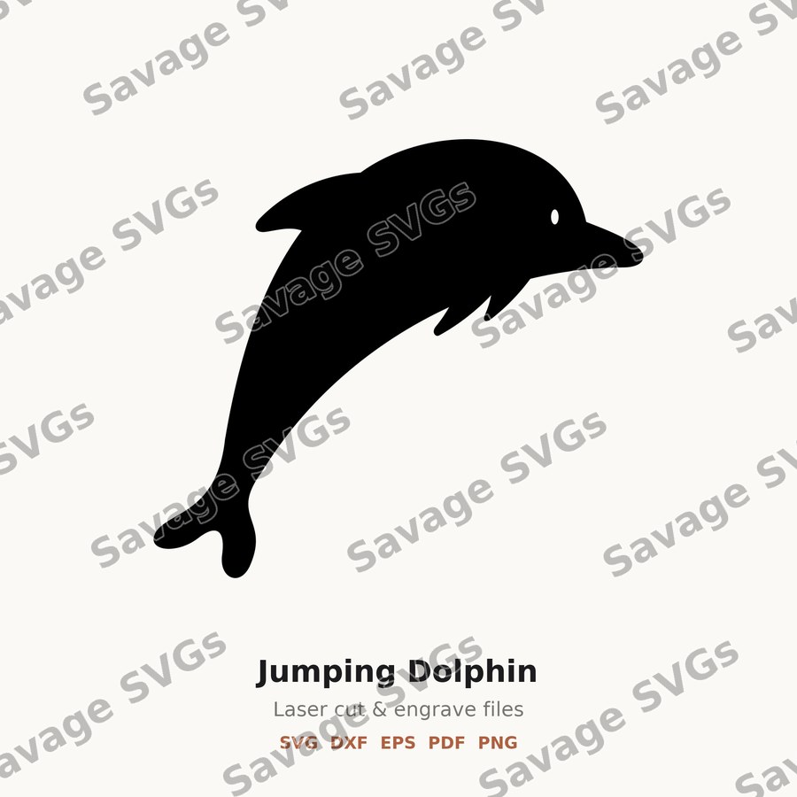 Jumping Dolphin