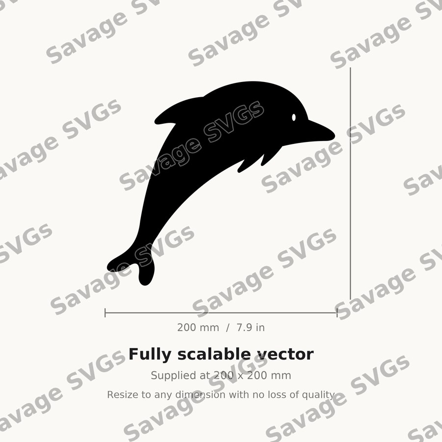 Jumping Dolphin
