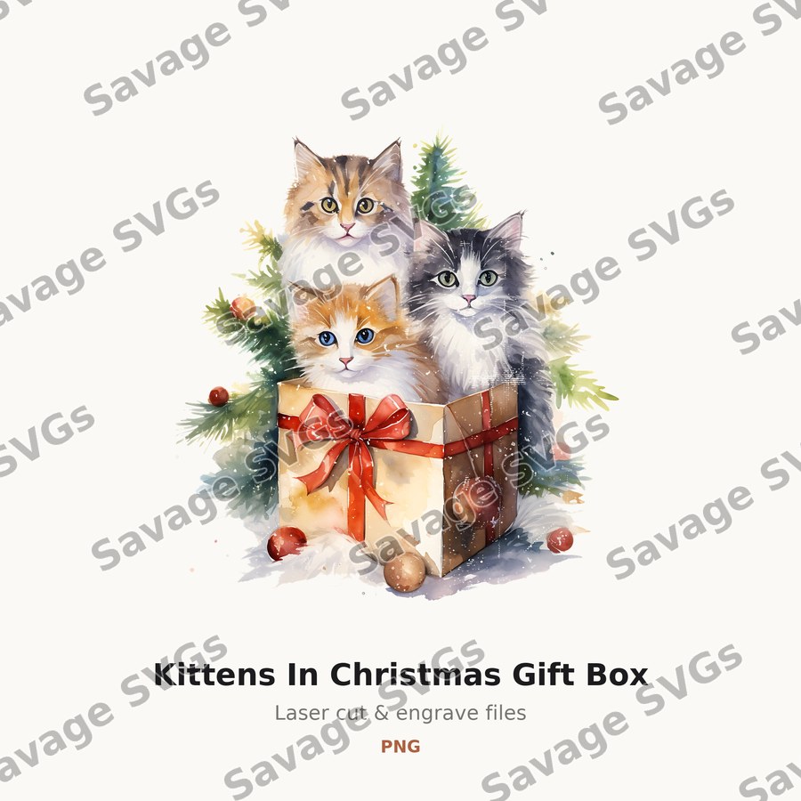 Kittens In Christmas Gift Box