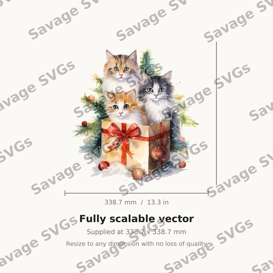 Kittens In Christmas Gift Box