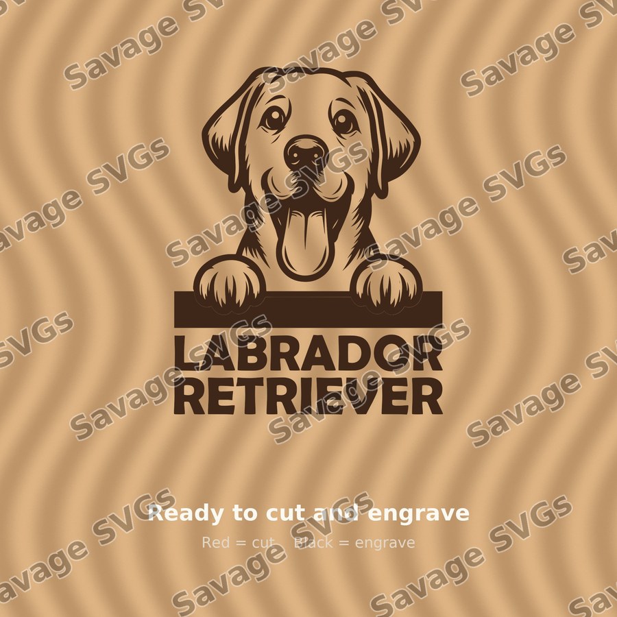 Labrador Retriever Peeking