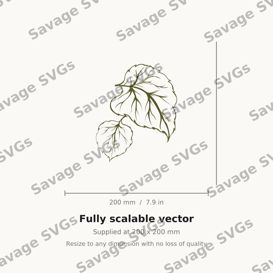 Leaves 01