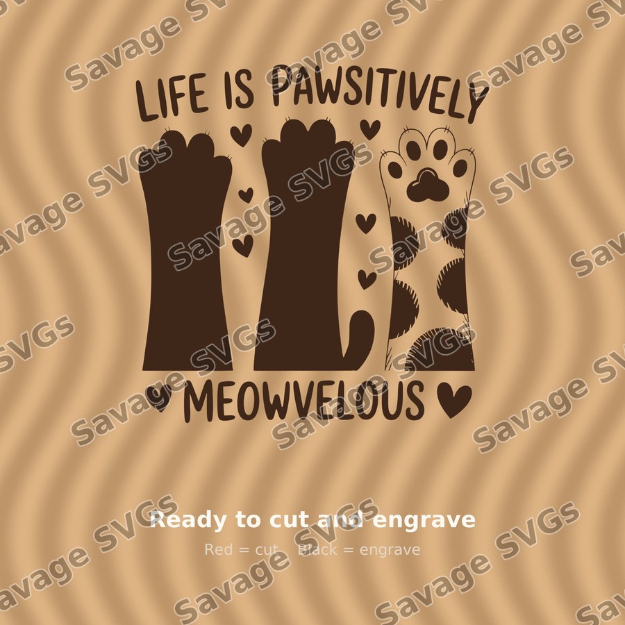Life Is Pawsitively Meowvelous