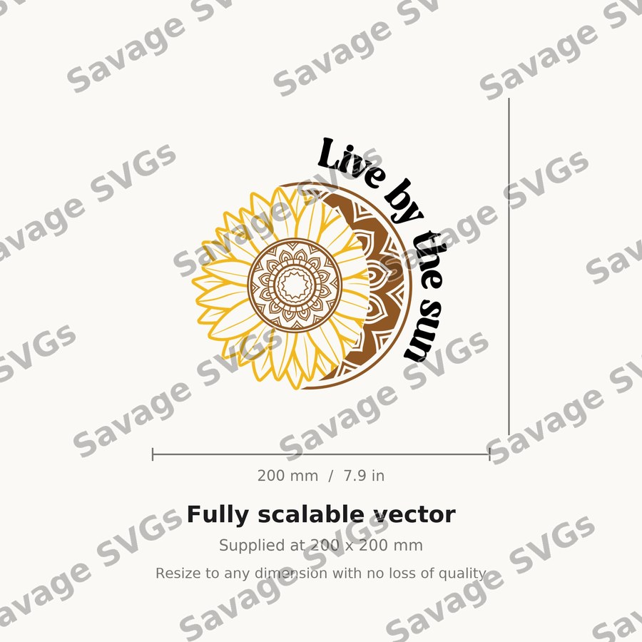 Live By The Sun 01