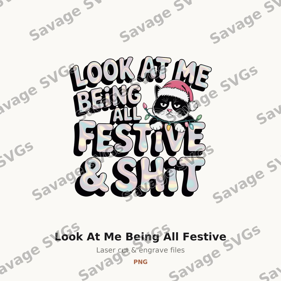 Look At Me Being All Festive