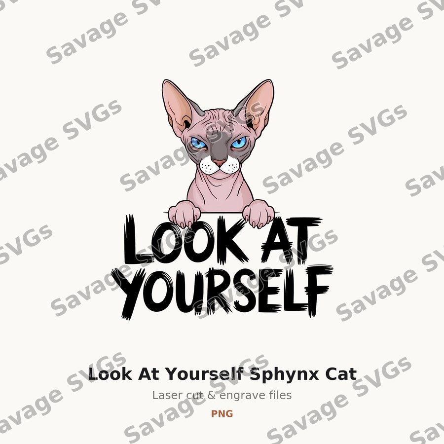 Look At Yourself Sphynx Cat