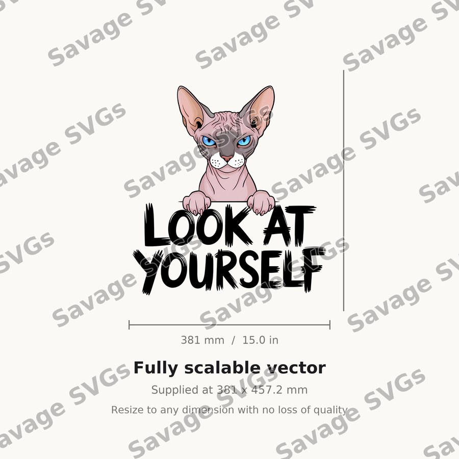 Look At Yourself Sphynx Cat