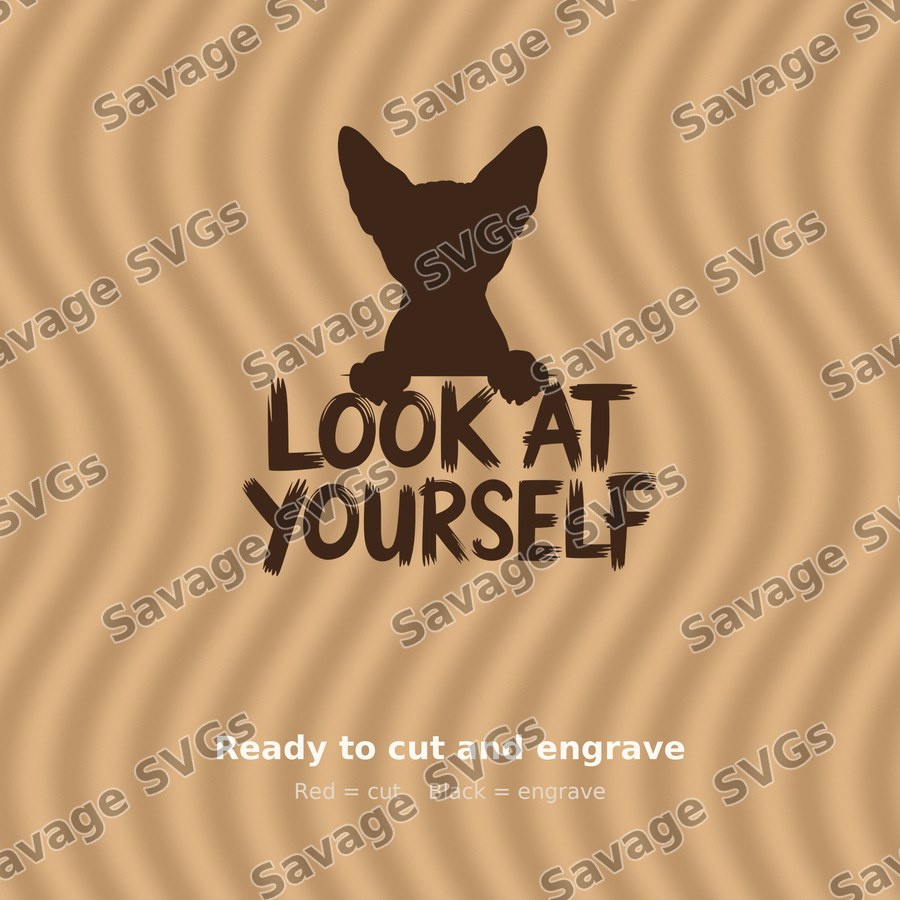 Look At Yourself Sphynx Cat