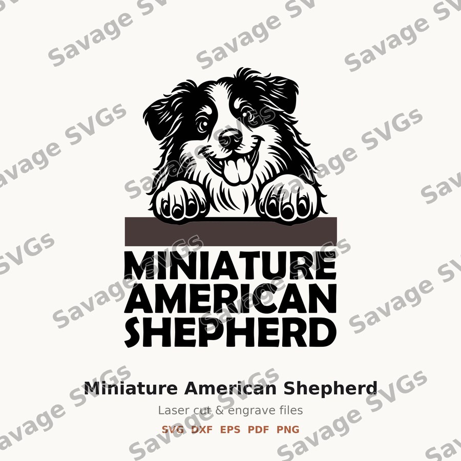 Miniature American Shepherd