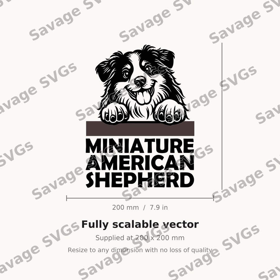 Miniature American Shepherd