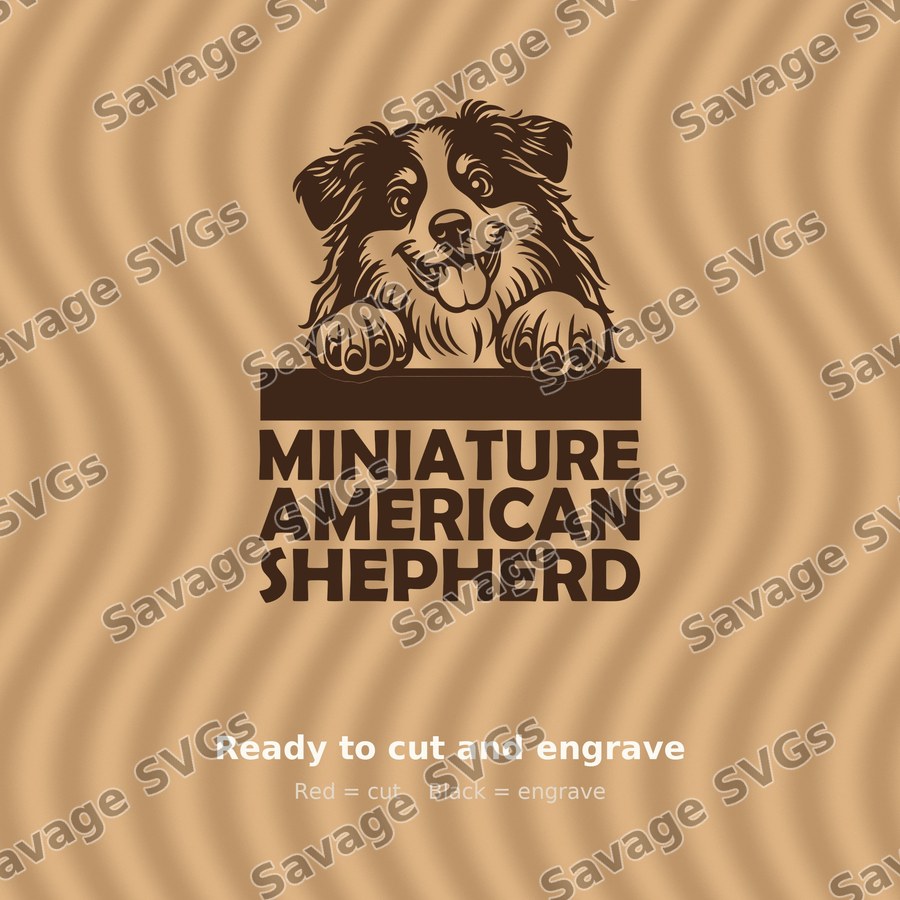 Miniature American Shepherd