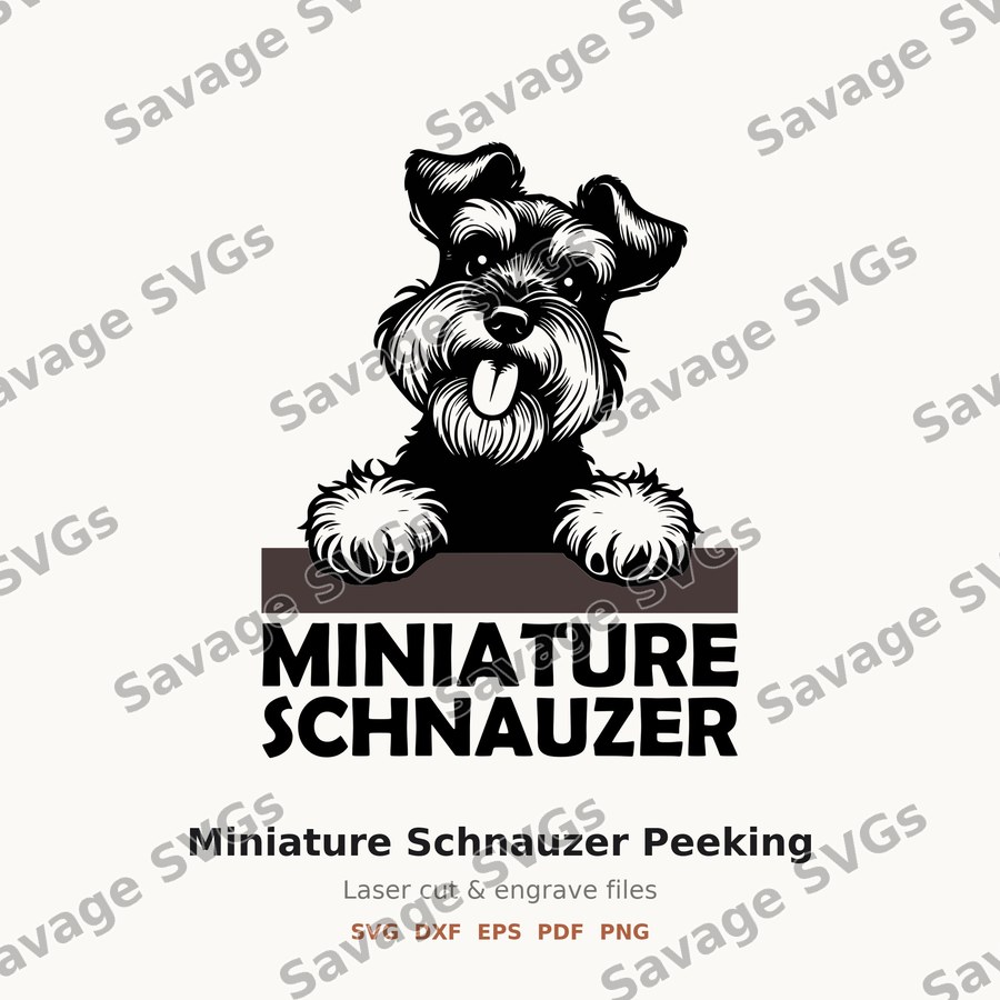Miniature Schnauzer Peeking