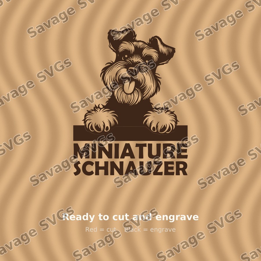 Miniature Schnauzer Peeking