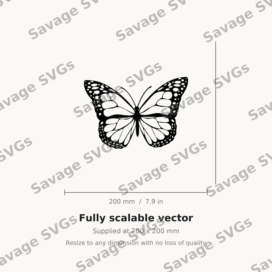 Monarch Butterfly