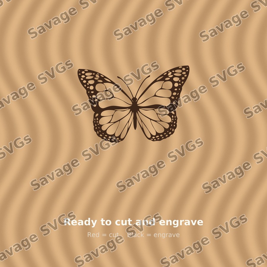 Monarch Butterfly