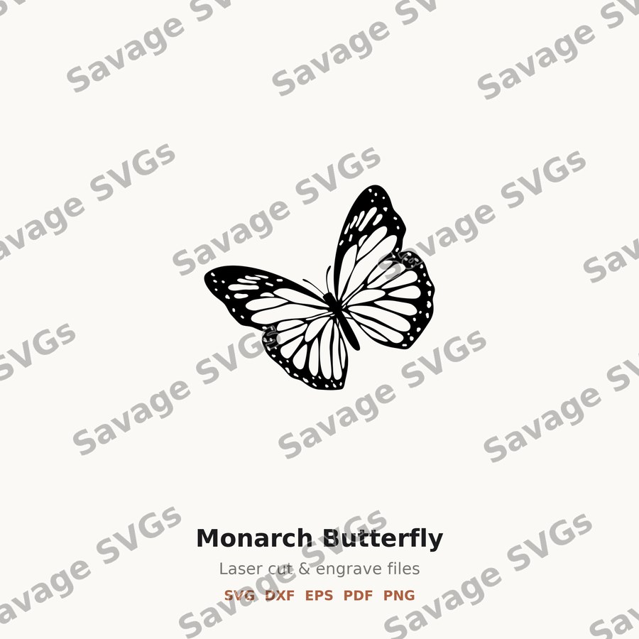 Monarch Butterfly