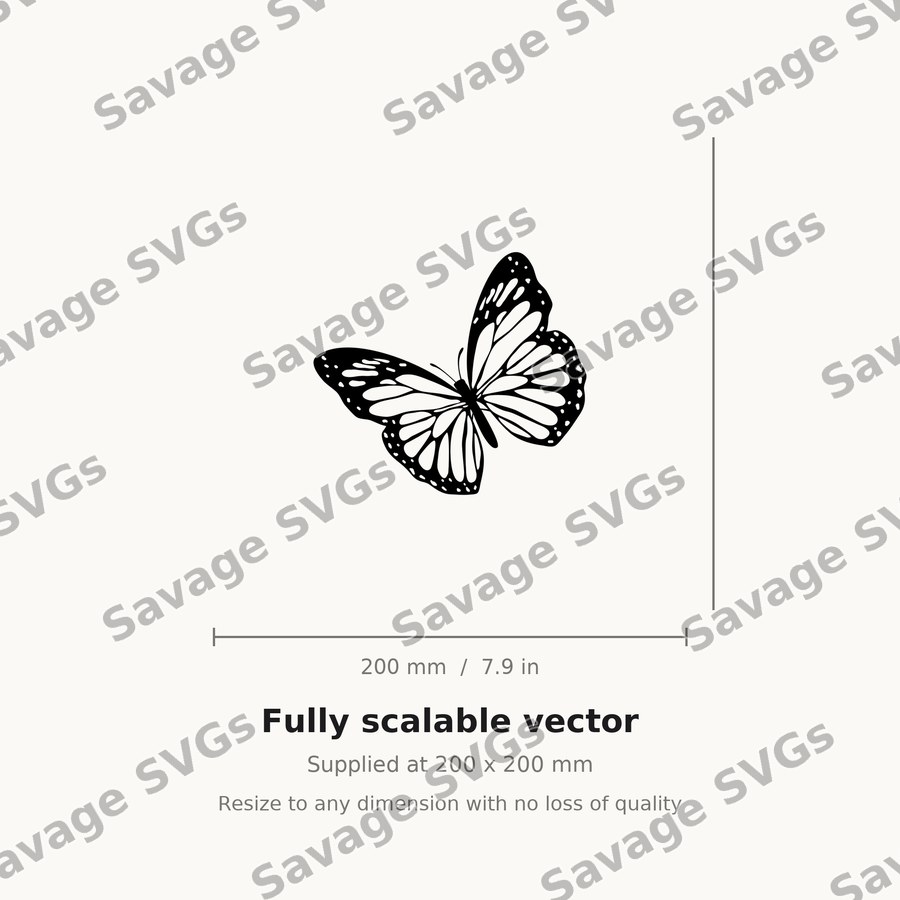 Monarch Butterfly