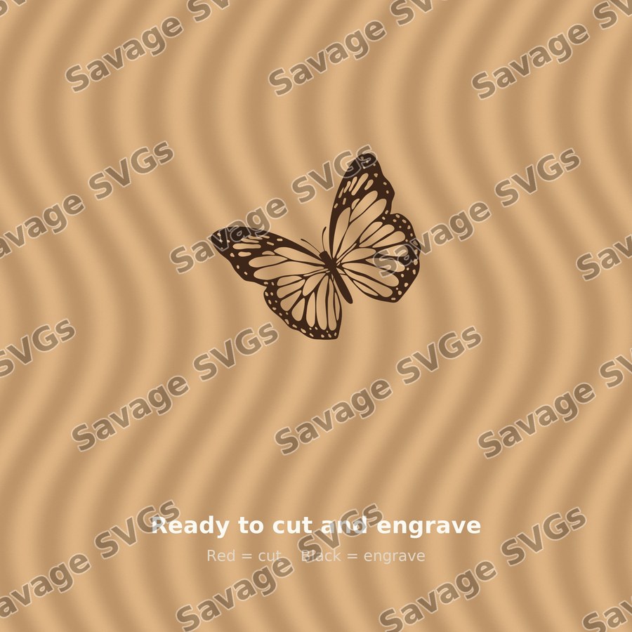 Monarch Butterfly