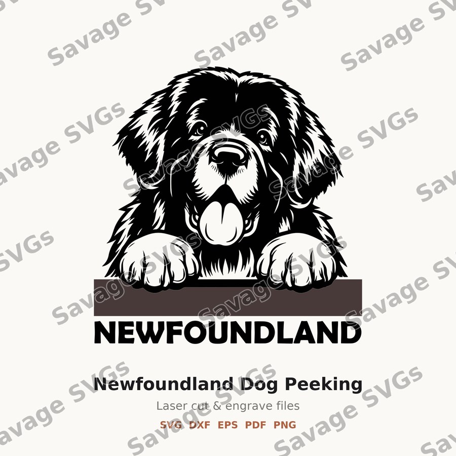 Newfoundland Dog Peeking