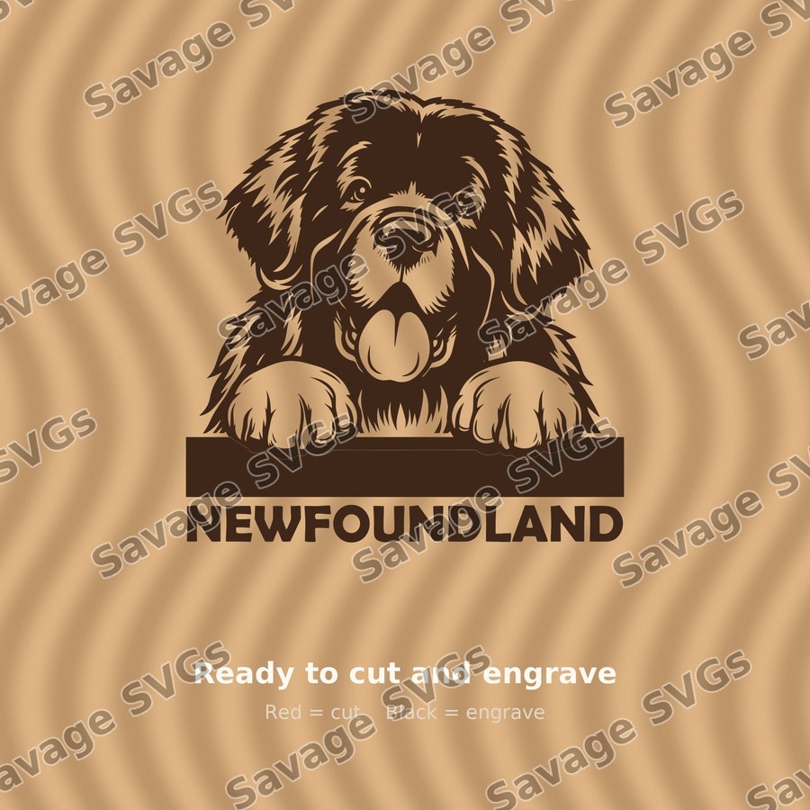 Newfoundland Dog Peeking