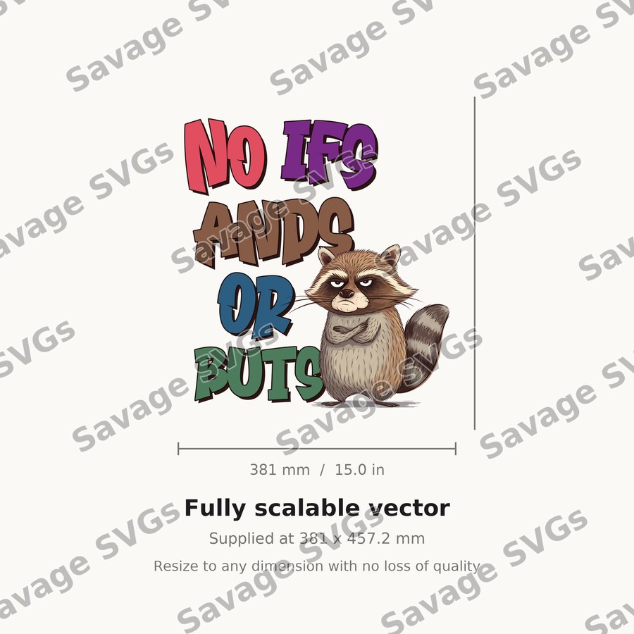 No Ifs Ands Or Buts Raccoon