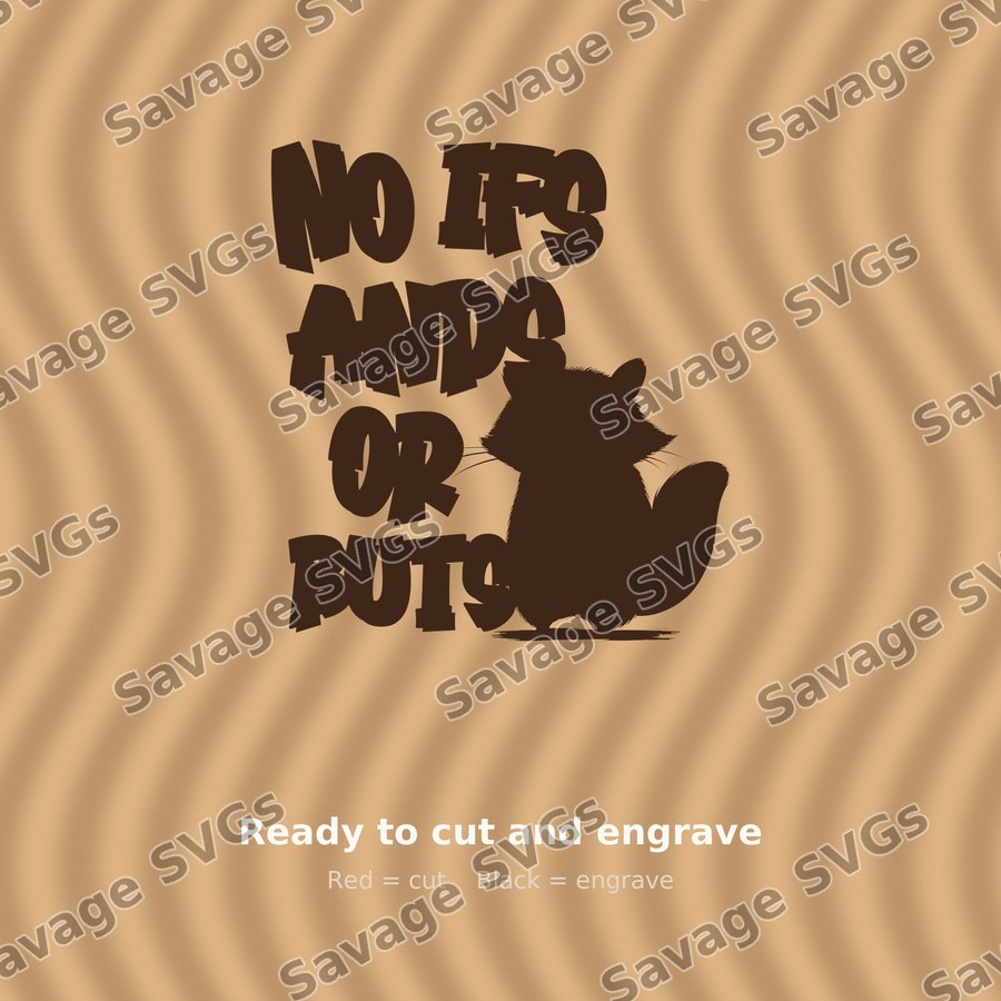 No Ifs Ands Or Buts Raccoon