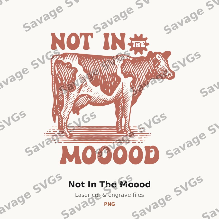 Not In The Moood