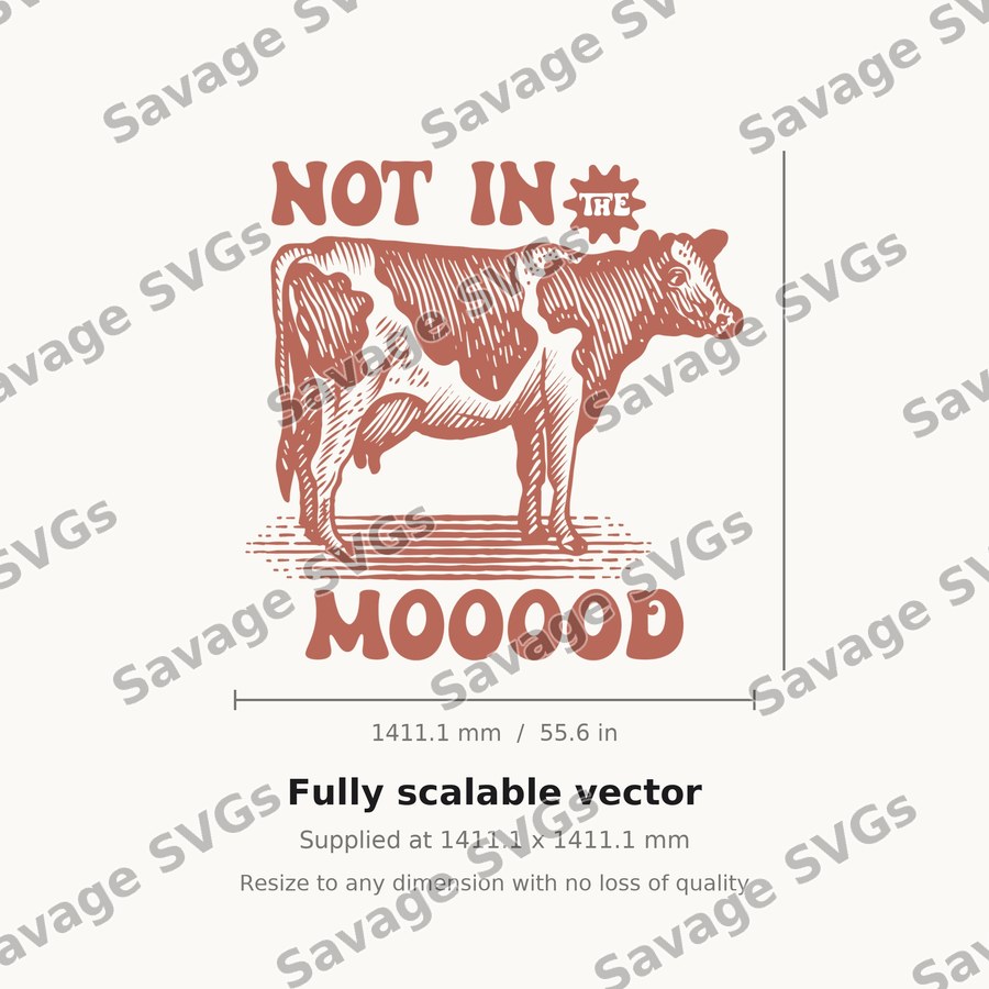 Not In The Moood