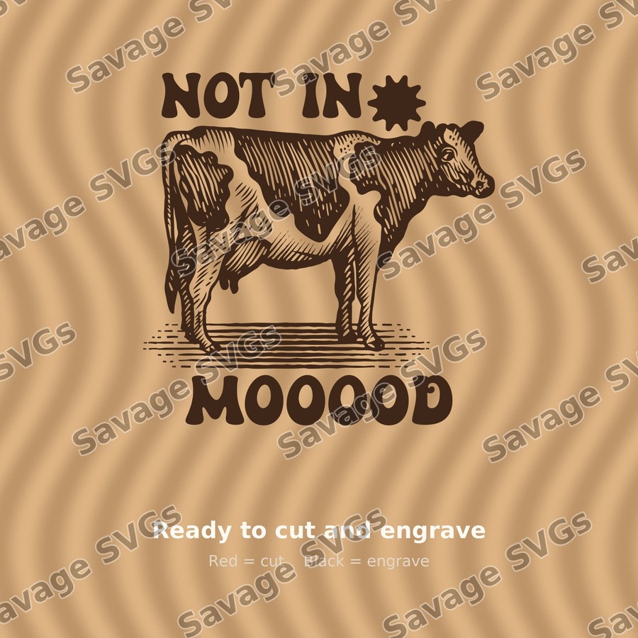 Not In The Moood