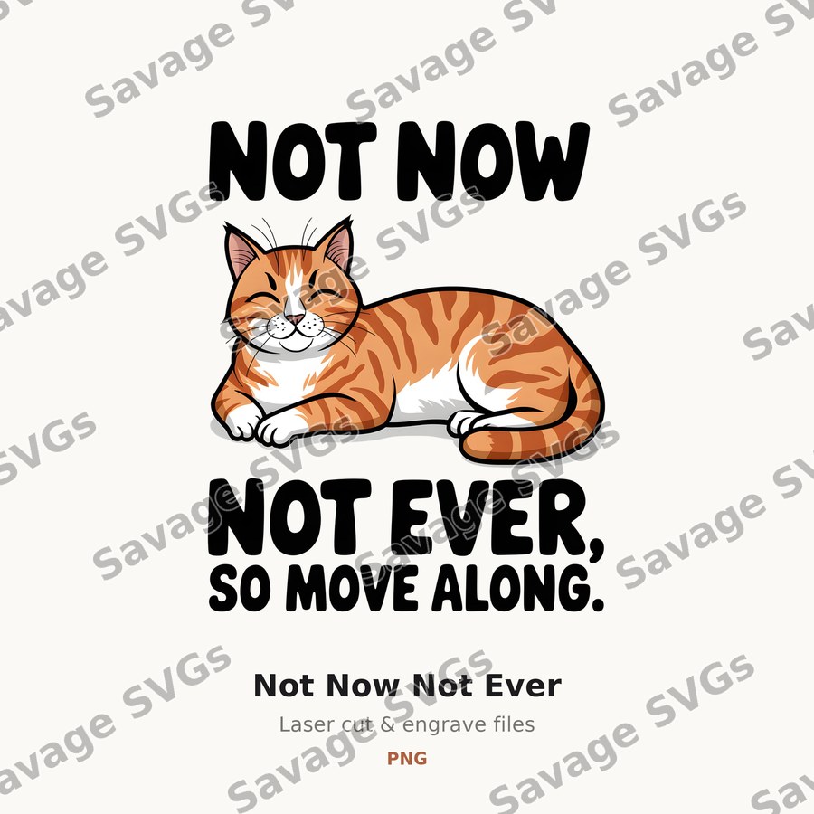 Not Now Not Ever