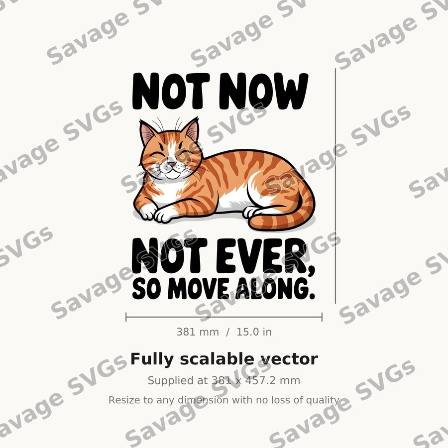Not Now Not Ever