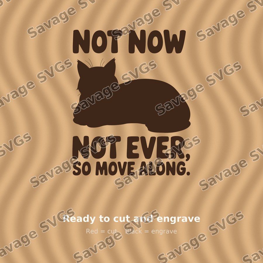 Not Now Not Ever