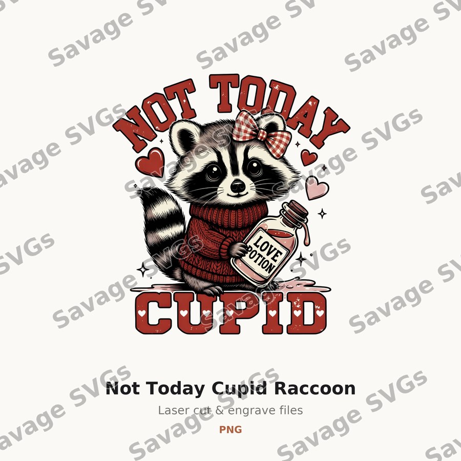 Not Today Cupid Raccoon