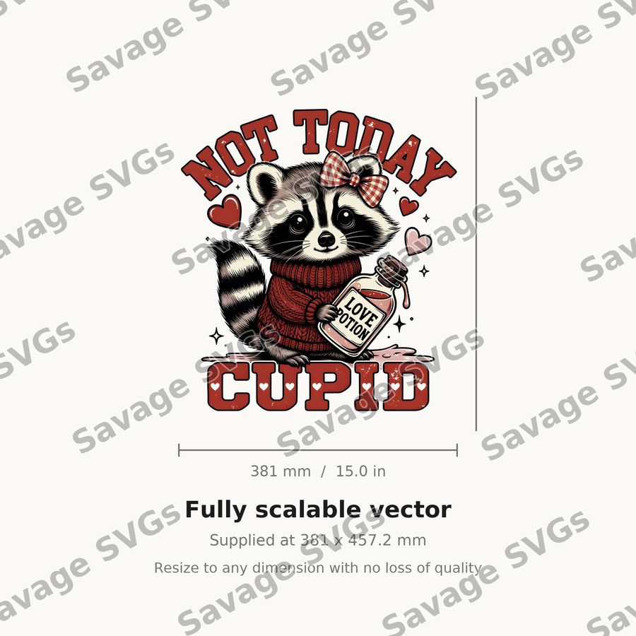 Not Today Cupid Raccoon