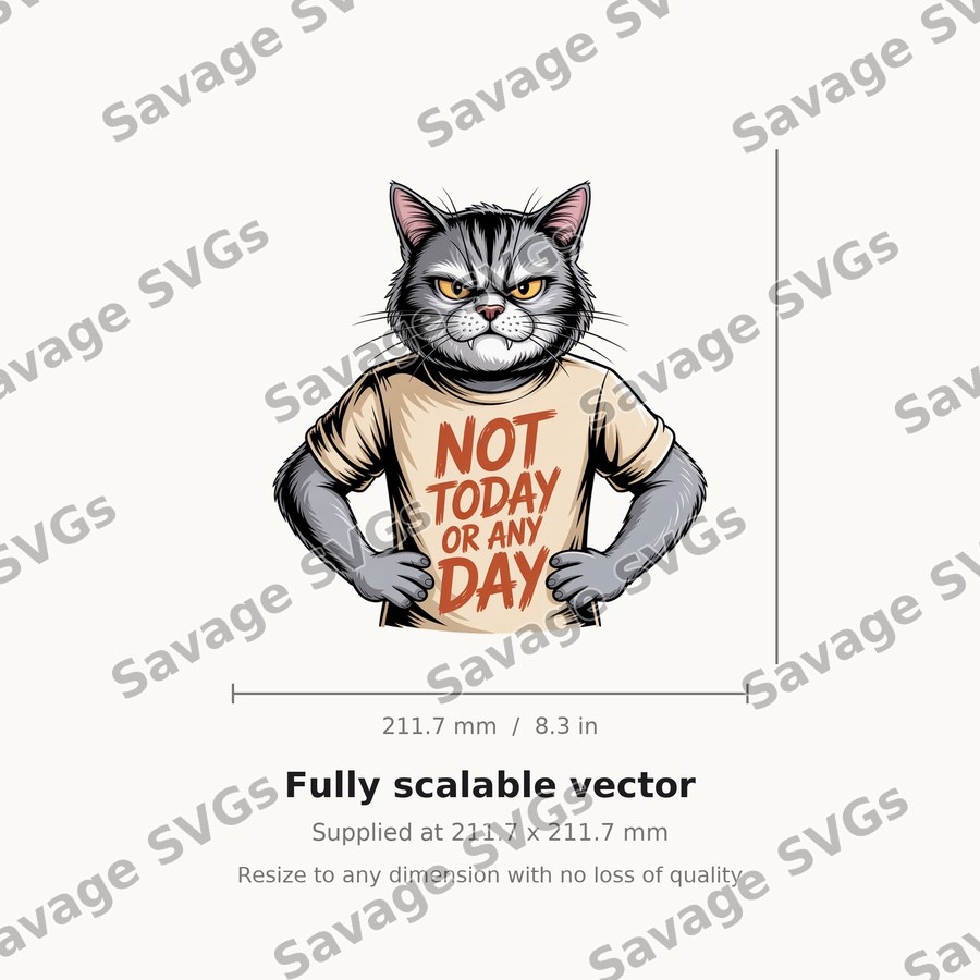 Not Today Or Any Day Cat