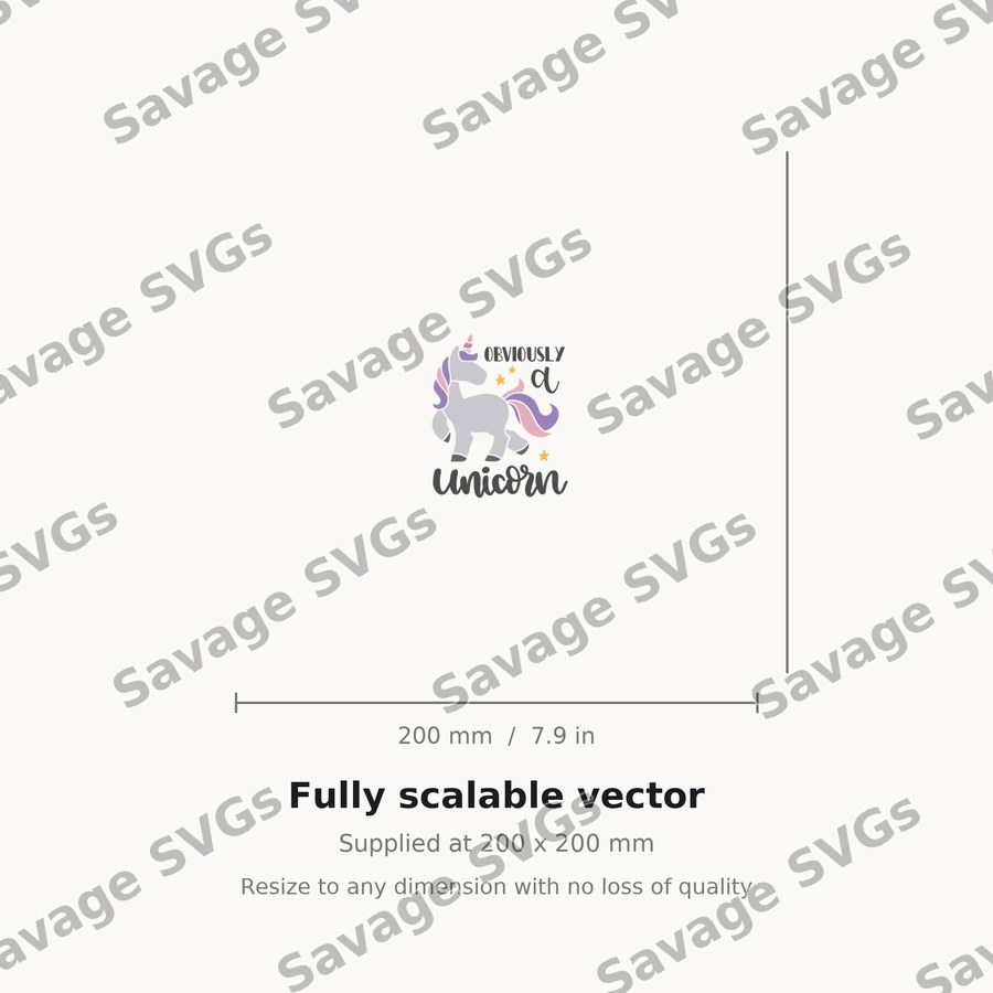 Obviously A Unicorn